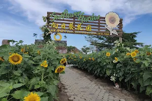 Sunflower Garden image