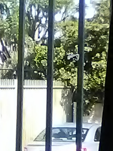 Cell Phone Store «AT&T Authorized Retailer», reviews and photos, 23639 Calabasas Rd, Calabasas, CA 91302, USA