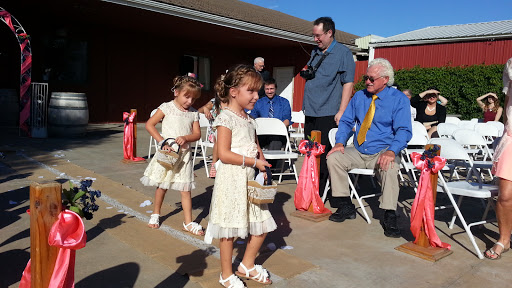 Winery «Wyldewood Cellars Winery», reviews and photos, 951 East 119th St S, Peck, KS 67120, USA