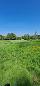 Lickey Hill Golf Course