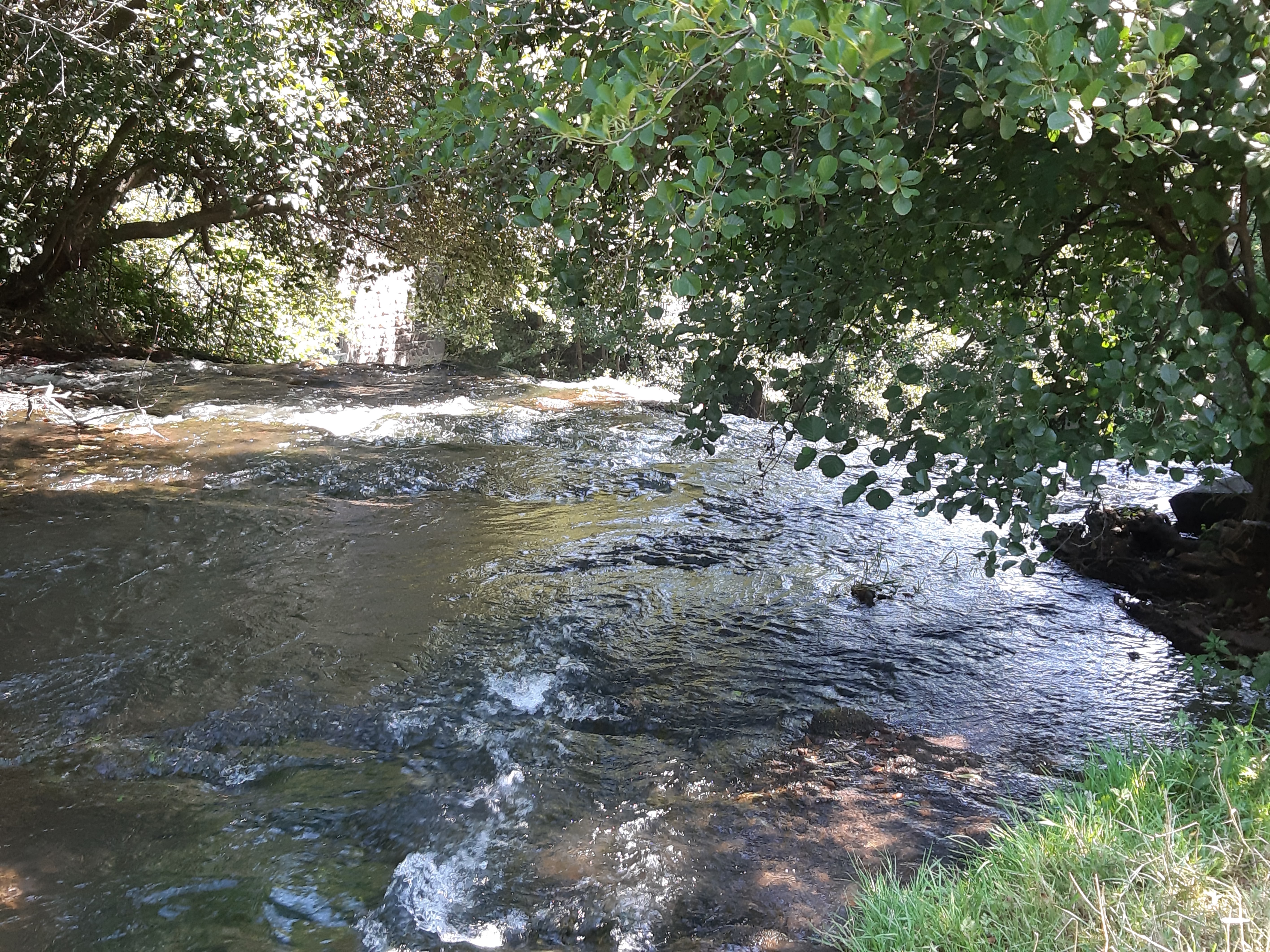 Photo n° 1 de l'avis de Nathalie.o fait le 18/08/2019 à 16:02