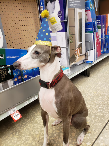 Shopping Mall «Woodlands Square», reviews and photos, 3150 Tampa Rd, Oldsmar, FL 34677, USA