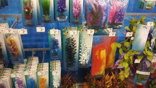 Pet Supply Store «Petco Animal Supplies», reviews and photos, 1610 Avenue Y, Brooklyn, NY 11235, USA