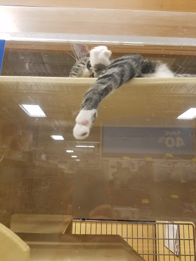Pet Supply Store «PetSmart», reviews and photos, 2180 MacArthur Rd, Whitehall, PA 18052, USA