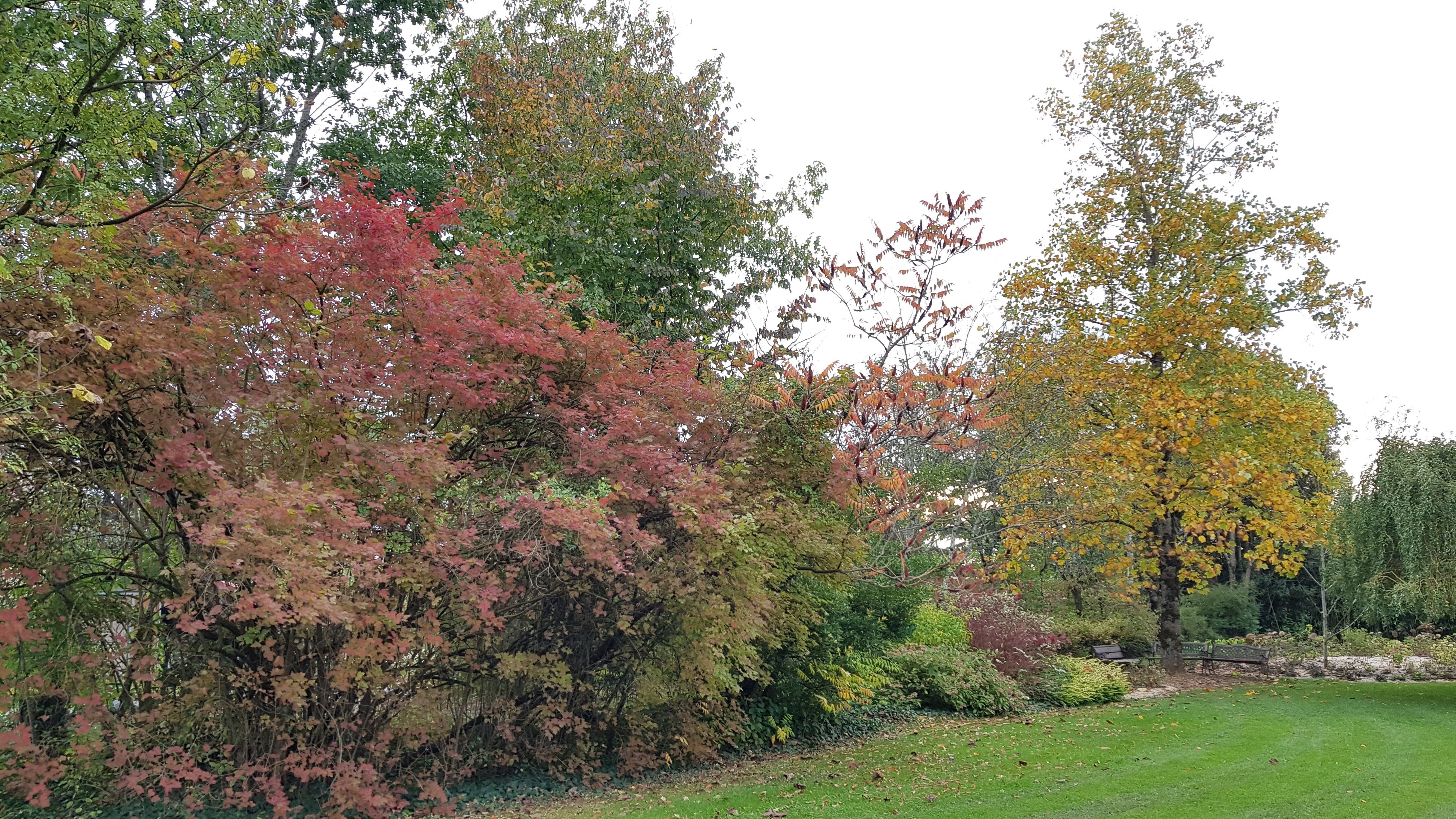 Photo n° 4 de l'avis de Pierre-B..u fait le 28/10/2019 à 07:38