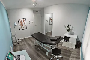 Physiotherapy Madrid and Massages eFISIO image