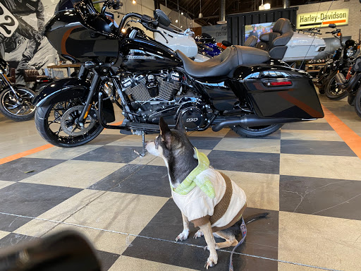 Harley-Davidson Dealer «Dudley Perkins Co. Harley-Davidson & Buell», reviews and photos, 333 Corey Way, South San Francisco, CA 94080, USA
