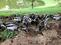 Johnson Feed Company - Car repair in Lewisville, TX, Lewisville - Rated 4.9/5