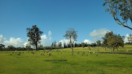 Mililani Memorial Park & Mortuary - Makai Chapel