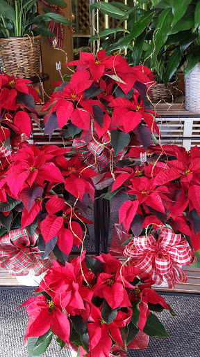 Florist «Flower Shop/Fontana», reviews and photos, 8009 East 51st Street South, Tulsa, OK 74145, USA