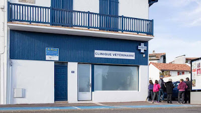 Clinique Vétérinaire Animalia Ttikiak à Saint-Jean-de-Luz