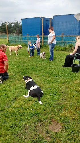 Reviews of Dogs Play Centre in Colchester - Dog trainer