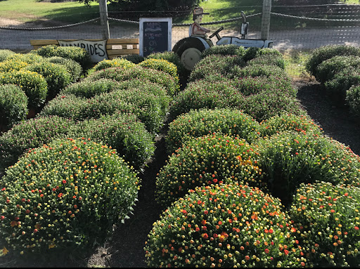 Orchard «Barton Orchards - Noxon Road Store Open Year Round - The Farm is CLOSED for the Season.», reviews and photos, 63 Apple Tree Ln, Poughquag, NY 12570, USA