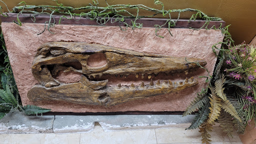 Museum «Creation Evidence Museum», reviews and photos, 3102 FM 205, Glen Rose, TX 76043, USA