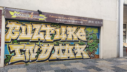 Culture Indoor Lyon 6
