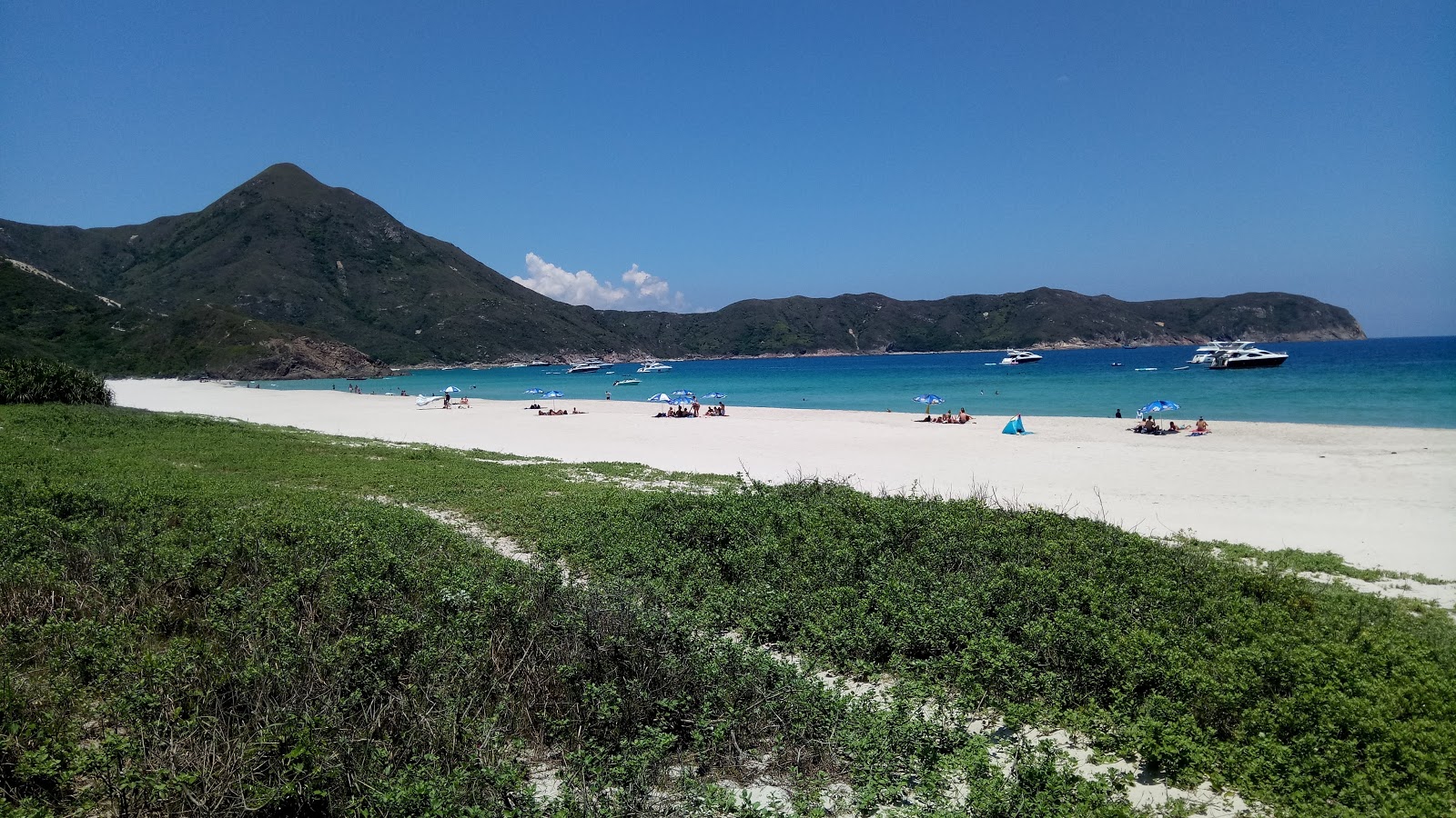 Photo de Tai Wan situé dans une zone naturelle