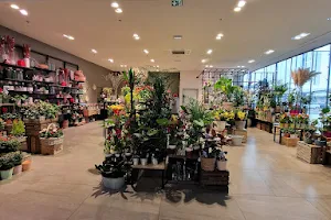 Centre commercial E.Leclerc - Les Portes de l'Allier image