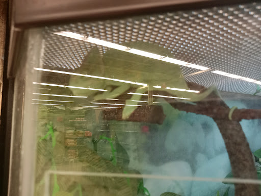 Pet Supply Store «Petco Animal Supplies», reviews and photos, 30697 US Hwy 19 N, Palm Harbor, FL 34684, USA