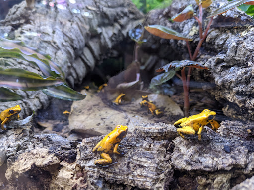 Pet Store «Birds & Beasts Pet Shop», reviews and photos, 35 Berkshire Dr # 18, Crystal Lake, IL 60014, USA