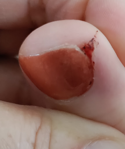 Nail Salon «Tropical Salon Nails & Tan», reviews and photos, 900 12th St # 6, Hammonton, NJ 08037, USA