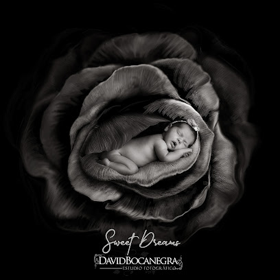 Estudio Fotográfico David Bocanegra, Estudio de fotografía en Morón de la Frontera – Sevilla