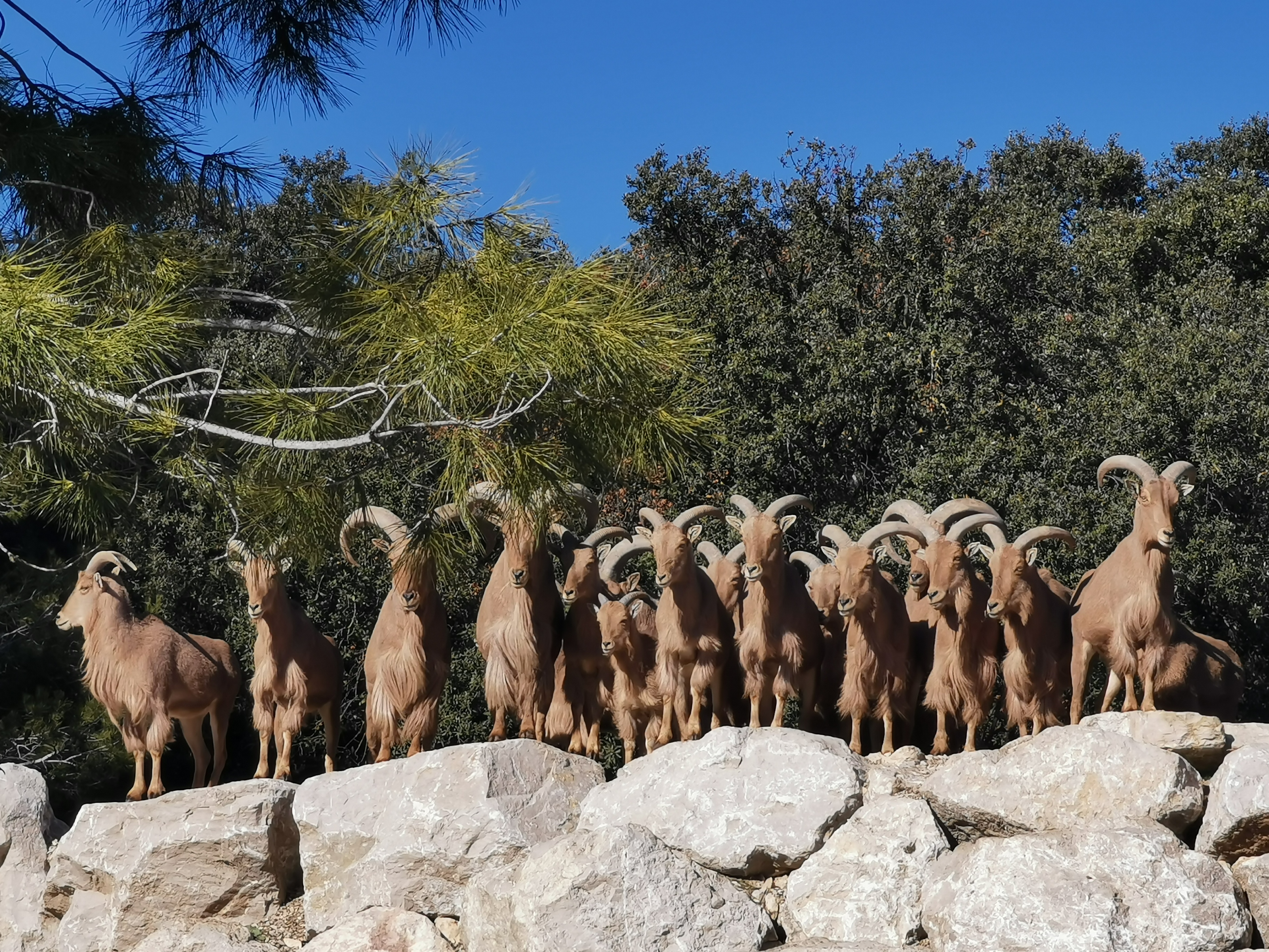 Photo n° 1 de l'avis de Océane.e fait le 19/02/2022 à 08:23