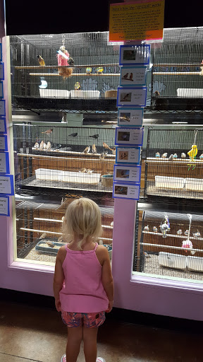 Pet Store «Incredible Pets Inc», reviews and photos, 2255 N Wickham Rd # 102, Melbourne, FL 32935, USA