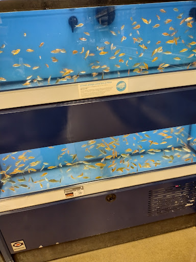 Pet Supply Store «Petco Animal Supplies», reviews and photos, 3680 Spencer Hwy, Pasadena, TX 77504, USA