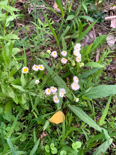 Park «Bass Lake Park», reviews and photos, 3450 Glenhurst Ave, Minneapolis, MN 55416, USA