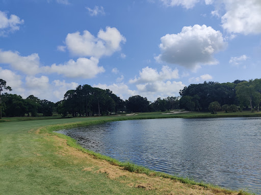 Golf Course «Copperhead Course», reviews and photos, 36750 US Hwy 19 N, Palm Harbor, FL 34684, USA