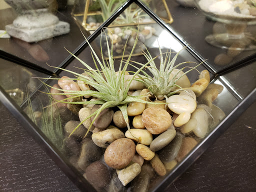 Florist «Autumn Rose Flower & Gift Shoppe», reviews and photos, 990 Bridgeport Ave, Milford, CT 06460, USA