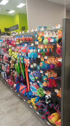 Pet Supply Store «Unleashed by Petco», reviews and photos, 3704 East-West Hwy #130, Hyattsville, MD 20781, USA