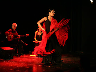 Flamenco-Tanz Bern Alicia Lopez