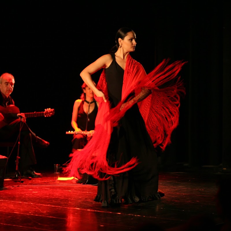 Flamenco-Tanz Bern Alicia Lopez