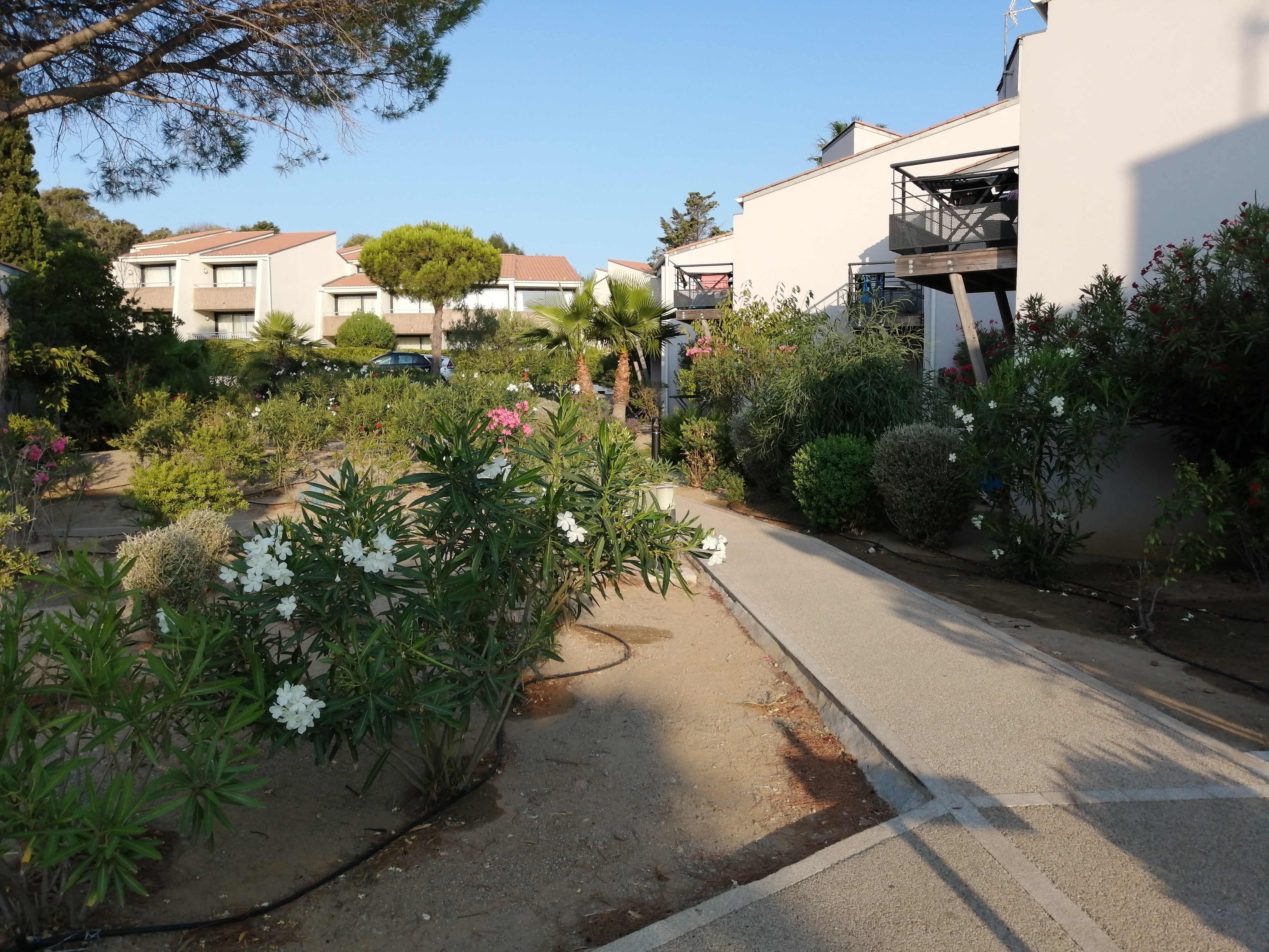 Photo n° 6 de l'avis de AgatheP21. fait le 28/08/2021 à 13:46
