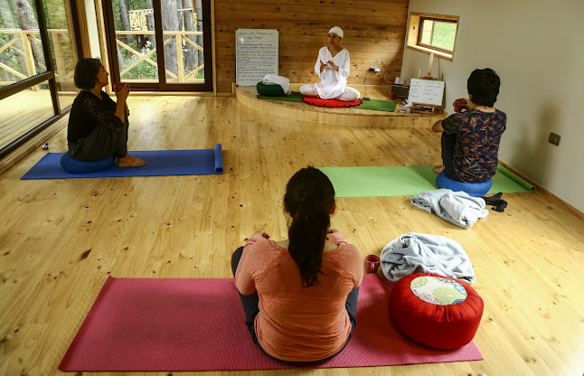 Naad Chandra Yoga - Coyhaique