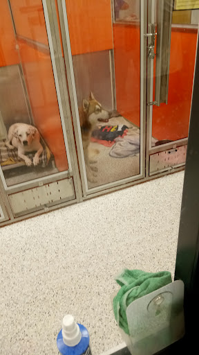 Animal Shelter «KC Pet Project - Main Adoption Center», reviews and photos