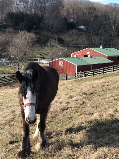 Event Venue «Thomas Farm Weddings and Events», reviews and photos, 519 Tranbarger Rd, Church Hill, TN 37642, USA