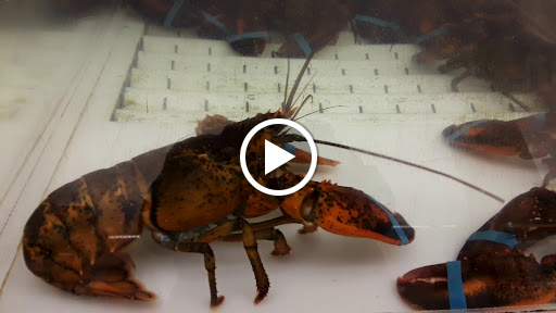 Supermarket «Giant», reviews and photos, 948 Bay Ridge Rd, Annapolis, MD 21403, USA