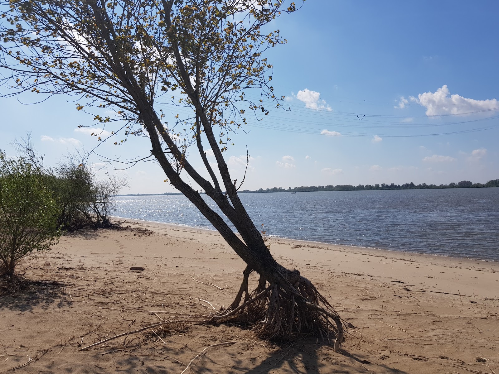 Zdjęcie Hetlinger Schanze Strand położony w naturalnym obszarze