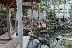 洲本温泉うるおいの湯 足湯 image