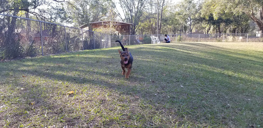 Park «Lutz Dog Park», reviews and photos, 122 1st Ave SW, Lutz, FL 33548, USA