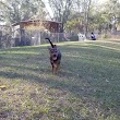 Lutz Dog Park