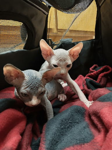 6001 Davis Blvd, North Richland Hills, TX 76180, USA