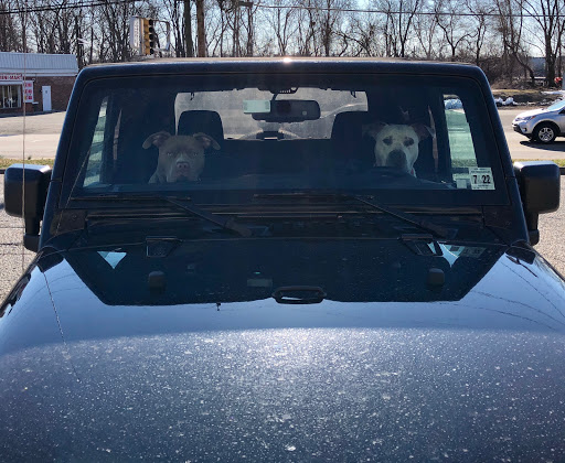 Pet Supply Store «J-B Pet Supplies - Hawthorne», reviews and photos, 289 Wagaraw Rd, Hawthorne, NJ 07506, USA