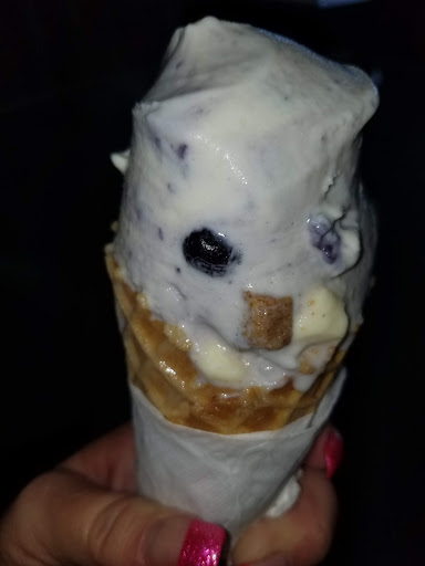 Ice Cream Shop «Homemade Ice Cream Shop», reviews and photos, 14660 Front Beach Rd, Panama City Beach, FL 32413, USA