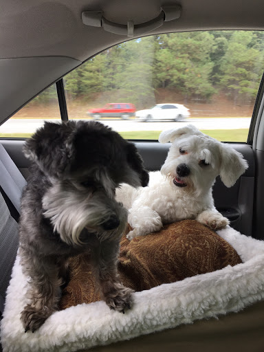 Pet Store «Tri-Creek Kennels», reviews and photos, 5641 US-129, Pendergrass, GA 30567, USA