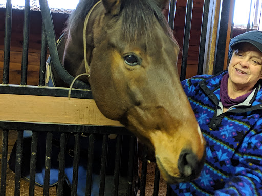 Split Rail Stables