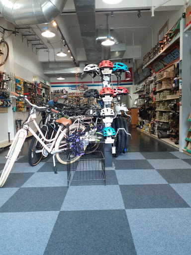 Bicycle Store «DASH Bicycle Shop», reviews and photos, 228 Broadway, Providence, RI 02903, USA