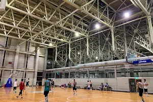 Academia Sinica Gymnasium image